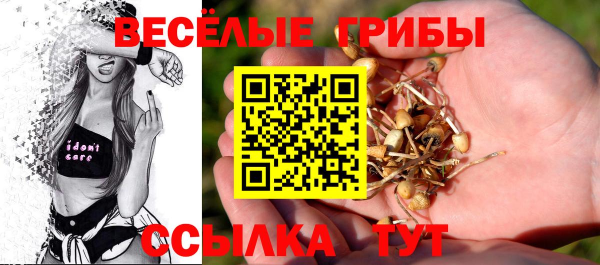Галлюциногенные грибы мухоморы Волхов